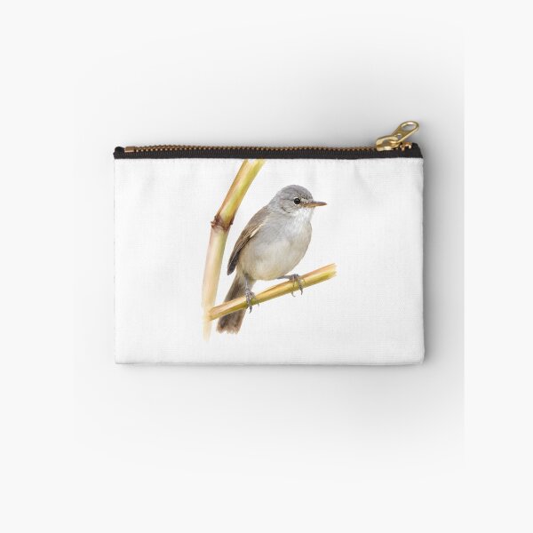 Item preview, Cape Verde Warbler (Acrocephalus brevipennis) designed and sold by HOMETOWN86.