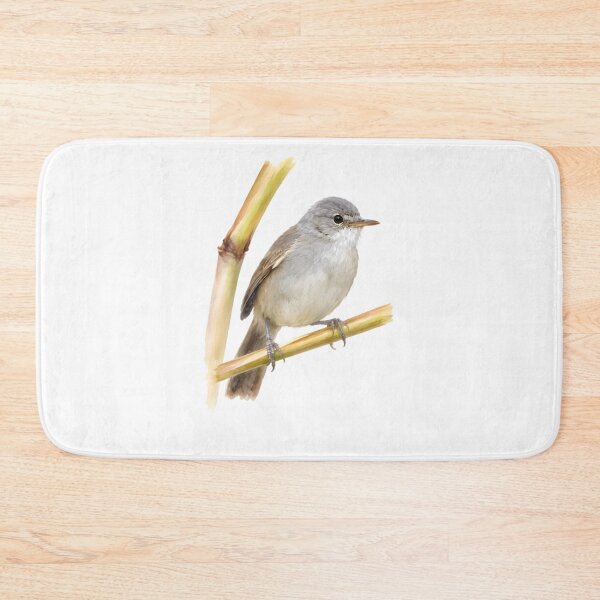 Item preview, Cape Verde Warbler (Acrocephalus brevipennis) designed and sold by HOMETOWN86.