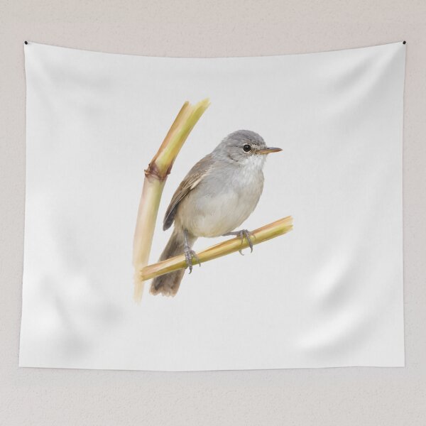 Item preview, Cape Verde Warbler (Acrocephalus brevipennis) designed and sold by HOMETOWN86.