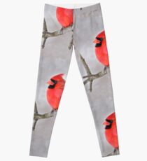 Northern Cardinal Leggings