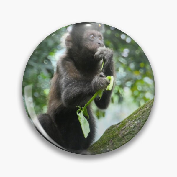 Item preview, Tufted Capuchin Monkey designed and sold by Malcolm Snook.