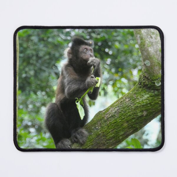 Item preview, Tufted Capuchin Monkey designed and sold by Malcolm Snook.
