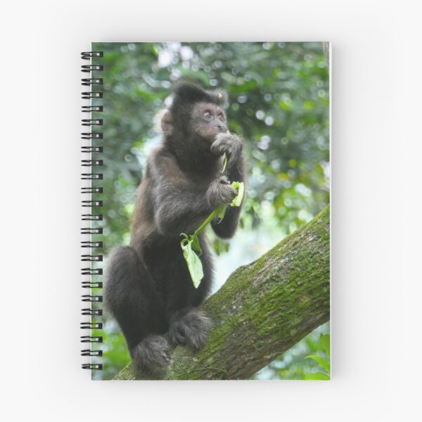 Item preview, Tufted Capuchin Monkey designed and sold by Malcolm Snook.