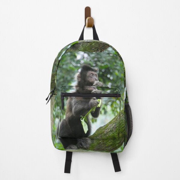 Item preview, Tufted Capuchin Monkey designed and sold by Malcolm Snook.