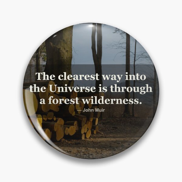 Item preview, The clearest way into the Universe is through a forest | John Muir | Photography Print designed and sold by Amber Sky Creations.