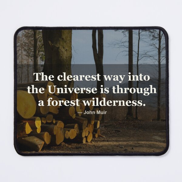 Item preview, The clearest way into the Universe is through a forest | John Muir | Photography Print designed and sold by Amber Sky Creations.
