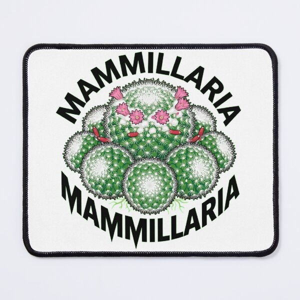 Item preview, Glassii Cactus Bold Vector Sticker Art designed and sold by GreenDivisionJP.