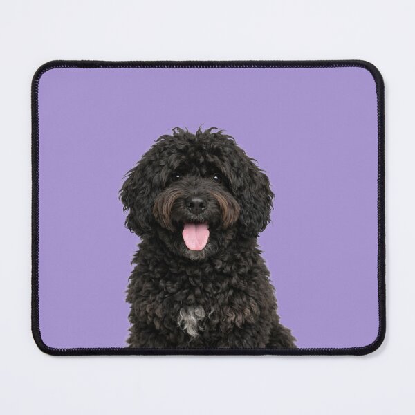 Item preview, Cute Barbet Dog - French Water Dog designed and sold by Sierodzyna.