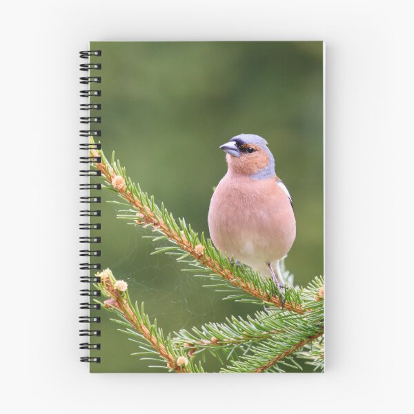 Item preview, All green. Eurasian chaffinch designed and sold by Jouko Lehto Photography.