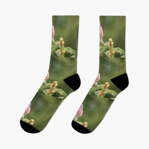Item preview, All green. Eurasian chaffinch designed and sold by Jouko Lehto Photography.