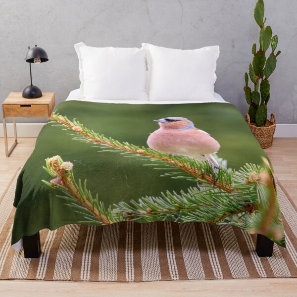 Item preview, All green. Eurasian chaffinch designed and sold by Jouko Lehto Photography.