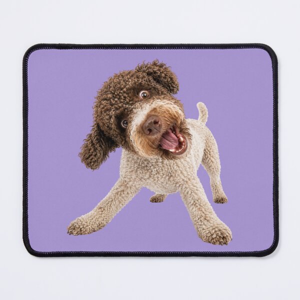 Item preview, Funny Crazy Lagotto Romagnolo Dog designed and sold by Sierodzyna.