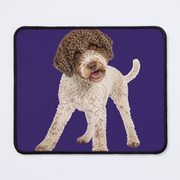 Item preview, Cute Lagotto Romagnolo Dog designed and sold by Sierodzyna.