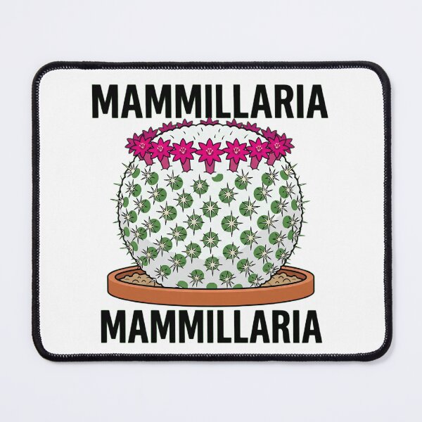 Item preview, Minimalist White Woolly Mammillaria Cactus Vector Graphic designed and sold by GreenDivisionJP.