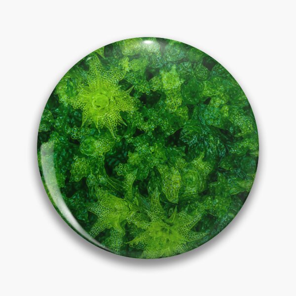 Item preview, Emerald Forest Moss Macro Pattern designed and sold by Owcomm.