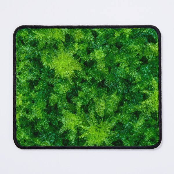 Item preview, Emerald Forest Moss Macro Pattern designed and sold by Owcomm.