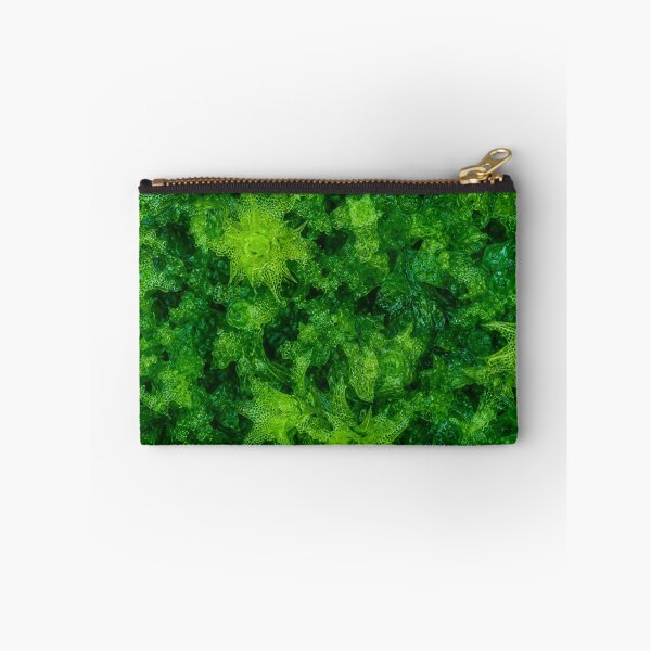Item preview, Emerald Forest Moss Macro Pattern designed and sold by Owcomm.