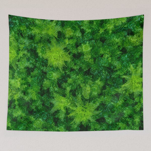 Item preview, Emerald Forest Moss Macro Pattern designed and sold by Owcomm.