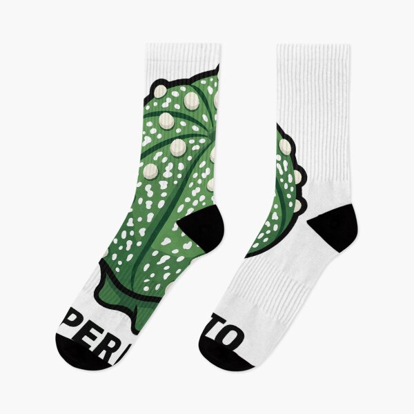 Item preview, Super Kabuto Astrophytum Cactus Graphic designed and sold by GreenDivisionJP.