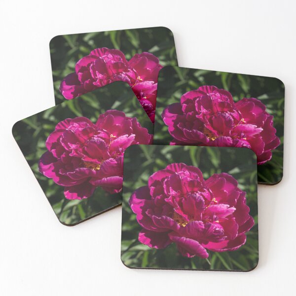 Item preview, A Single Vibrant Magenta Peony Blossom designed and sold by Georgia Mizuleva.