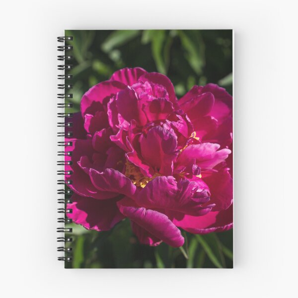 Item preview, A Single Vibrant Magenta Peony Blossom designed and sold by Georgia Mizuleva.
