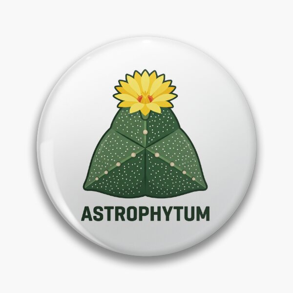 Item preview, Geometric Astrophytum Cactus Vector Graphic designed and sold by GreenDivisionJP.