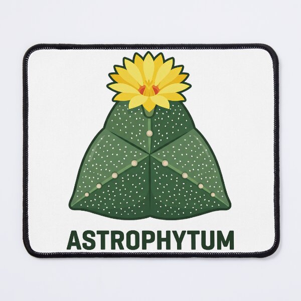Item preview, Geometric Astrophytum Cactus Vector Graphic designed and sold by GreenDivisionJP.