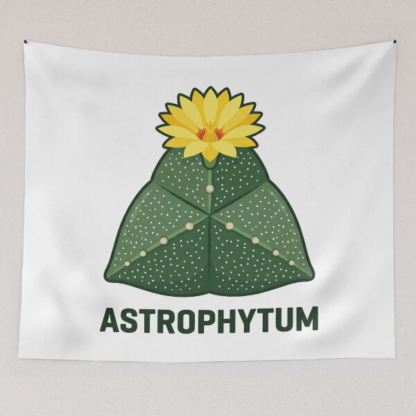Item preview, Geometric Astrophytum Cactus Vector Graphic designed and sold by GreenDivisionJP.