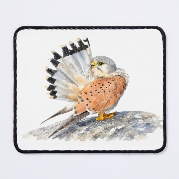 Item preview, Eurasian Kestrel (Falco tinnunculus) designed and sold by HOMETOWN86.