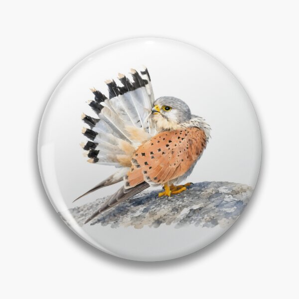 Item preview, Eurasian Kestrel (Falco tinnunculus) designed and sold by HOMETOWN86.