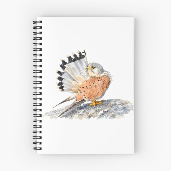 Item preview, Eurasian Kestrel (Falco tinnunculus) designed and sold by HOMETOWN86.