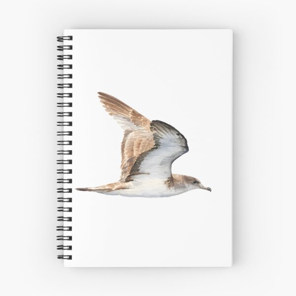 Item preview, Cape Verde Shearwater (Calonectris edwardsii) designed and sold by HOMETOWN86.