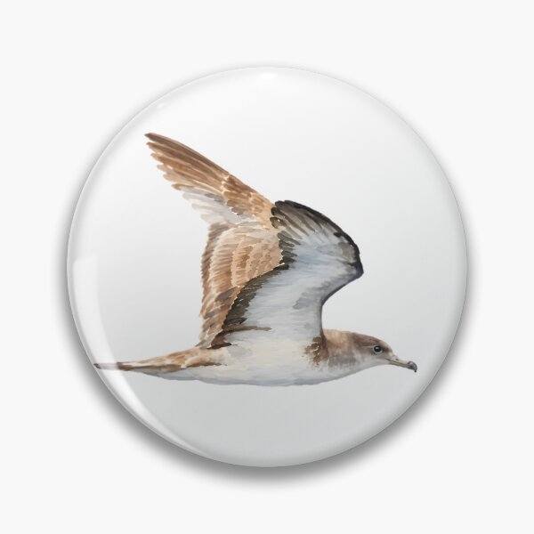 Item preview, Cape Verde Shearwater (Calonectris edwardsii) designed and sold by HOMETOWN86.