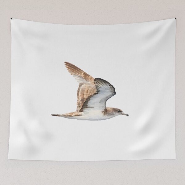 Item preview, Cape Verde Shearwater (Calonectris edwardsii) designed and sold by HOMETOWN86.