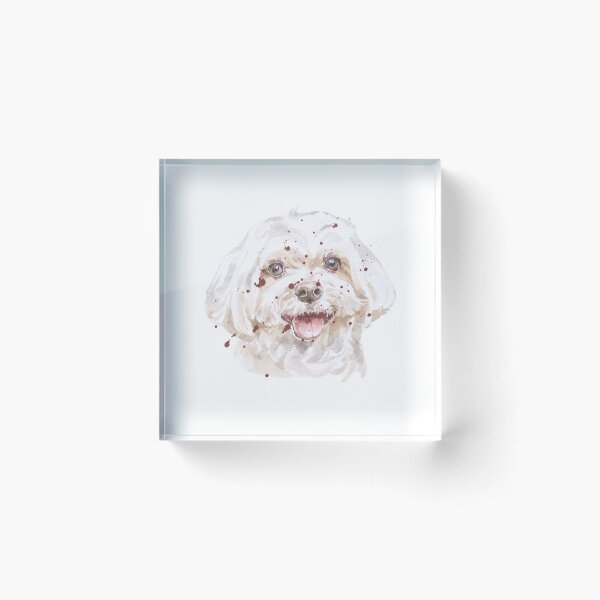 Item preview, White Maltese Smile designed and sold by NguyenKatie.