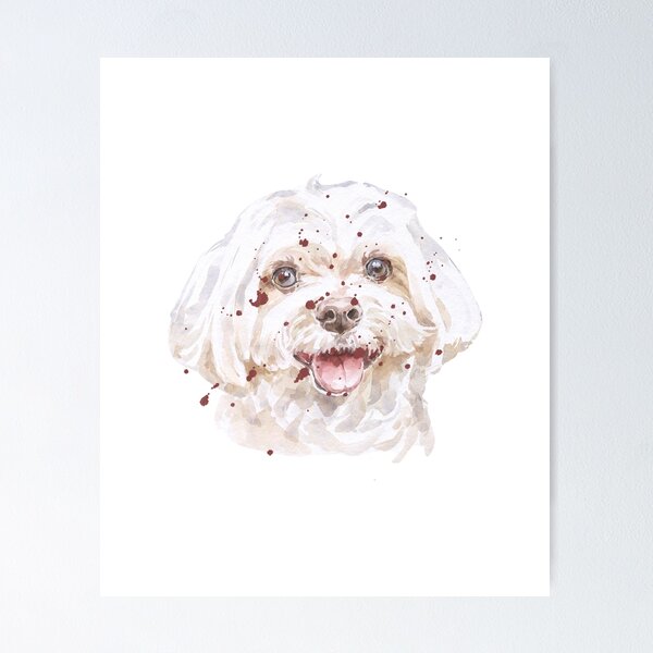 Item preview, White Maltese Smile designed and sold by NguyenKatie.