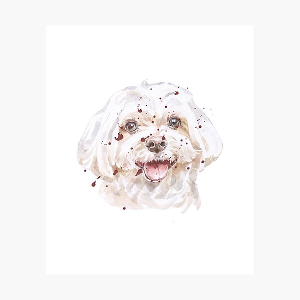 Item preview, White Maltese Smile designed and sold by NguyenKatie.