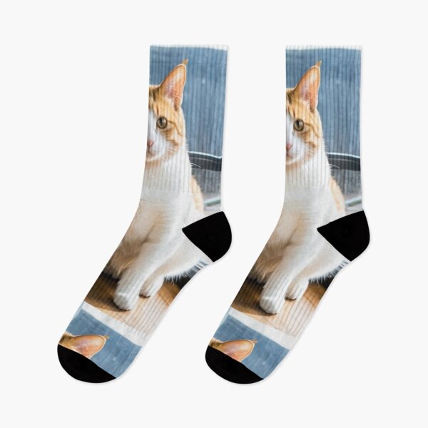 Item preview, Animals - Ginger and White Cat, Majestic Gaze and Green Eyes designed and sold by DoodyPets.