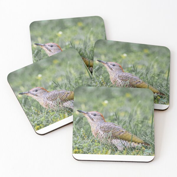 Item preview, Iberian green woodpecker designed and sold by XaviFotografia.