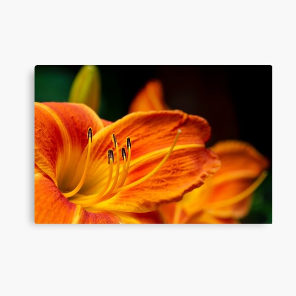 Item preview, Stamens designed and sold by Manon Boily.