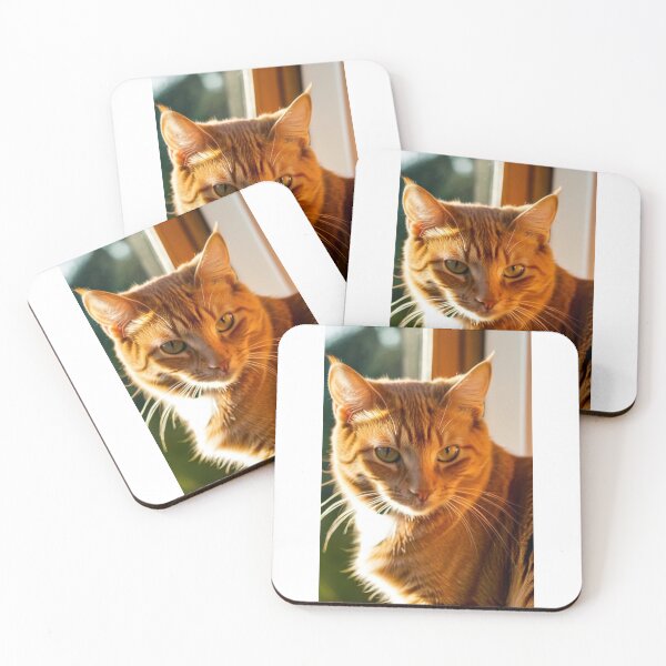 Item preview, Animals - Ginger Tabby Cat, Portrait in Golden Light designed and sold by DoodyPets.
