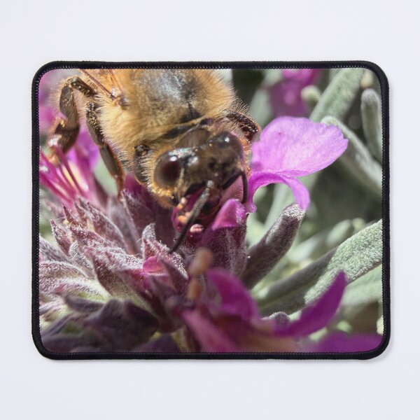 Item preview, Working Honeybee designed and sold by Betsy Phillips.
