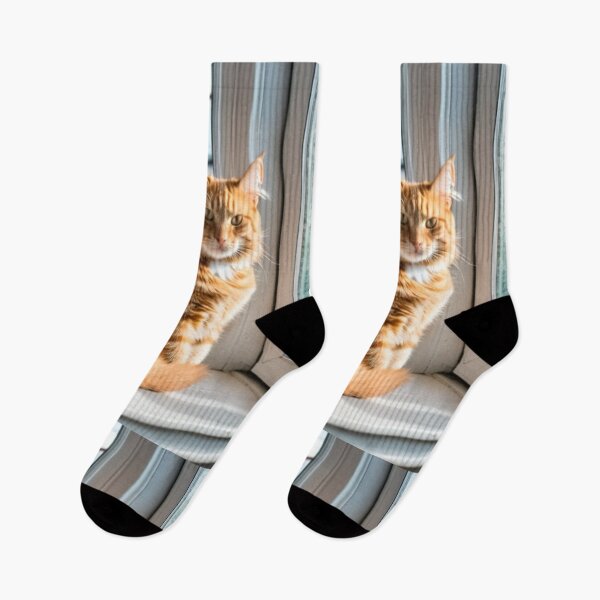 Item preview, Animals - Ginger Tabby Cat, Serene Contemplation at the Window designed and sold by DoodyPets.