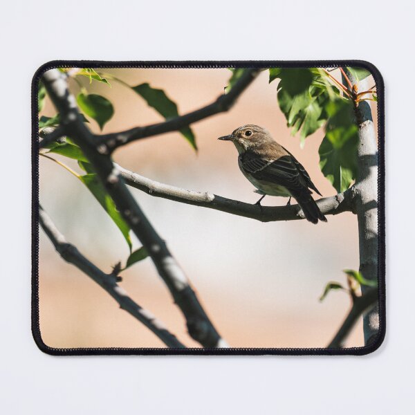 Item preview, Bird with illuminated face designed and sold by XaviFotografia.