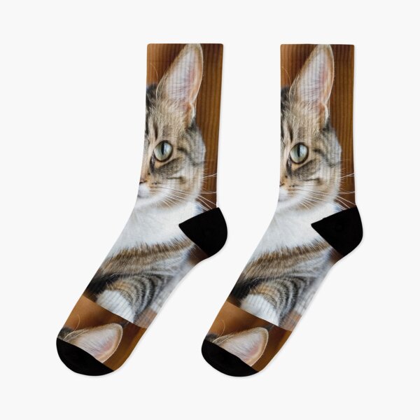 Item preview, Animals - Gray and White Tabby Cat, Piercing Green-Eyed Gaze designed and sold by DoodyPets.