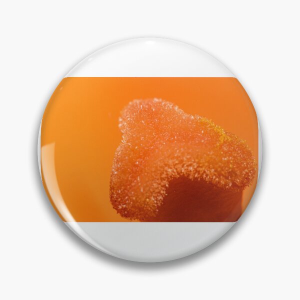 Item preview, Macro of the stigma of an orange flower designed and sold by XaviFotografia.