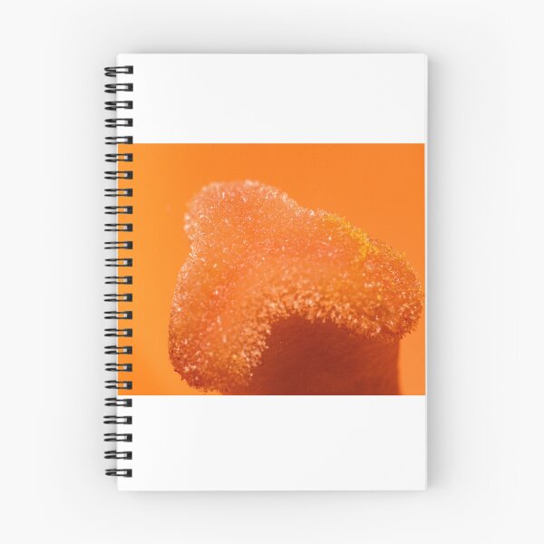 Item preview, Macro of the stigma of an orange flower designed and sold by XaviFotografia.