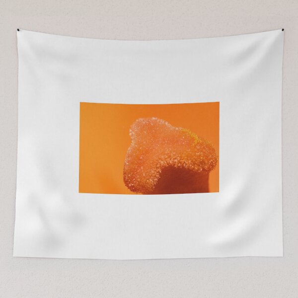 Item preview, Macro of the stigma of an orange flower designed and sold by XaviFotografia.