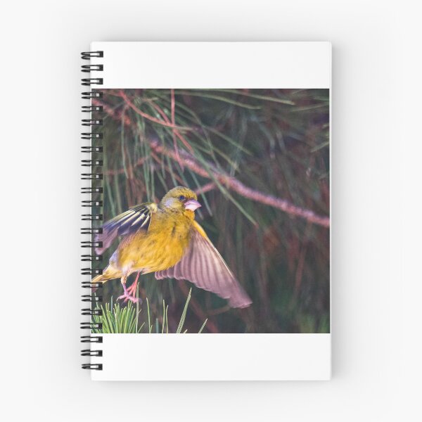 Item preview, Bird taking off designed and sold by XaviFotografia.