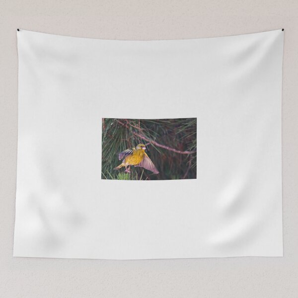 Item preview, Bird taking off designed and sold by XaviFotografia.